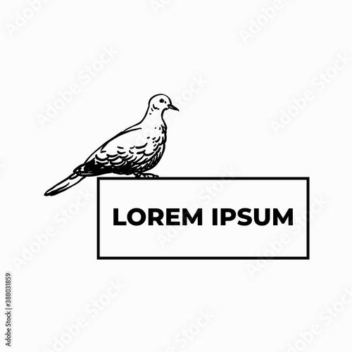 Pigeon bird with text frame