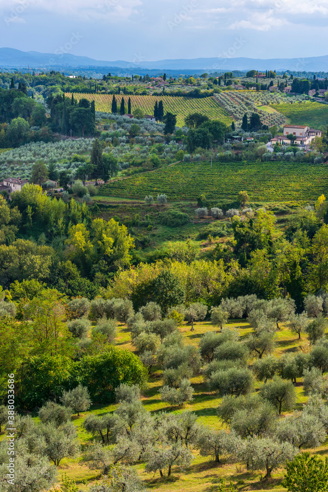 Φωτογραφία Hügelige Landschaft mit Zypresse und Olivenbäumen in der Toskana, Italien