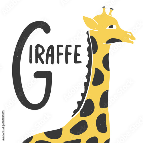 Cute alphabet card for play and education. Letter "G" is for Giraffe. Croped yellow giraffe and handwritten text. Vector shabby hand drawn illustration