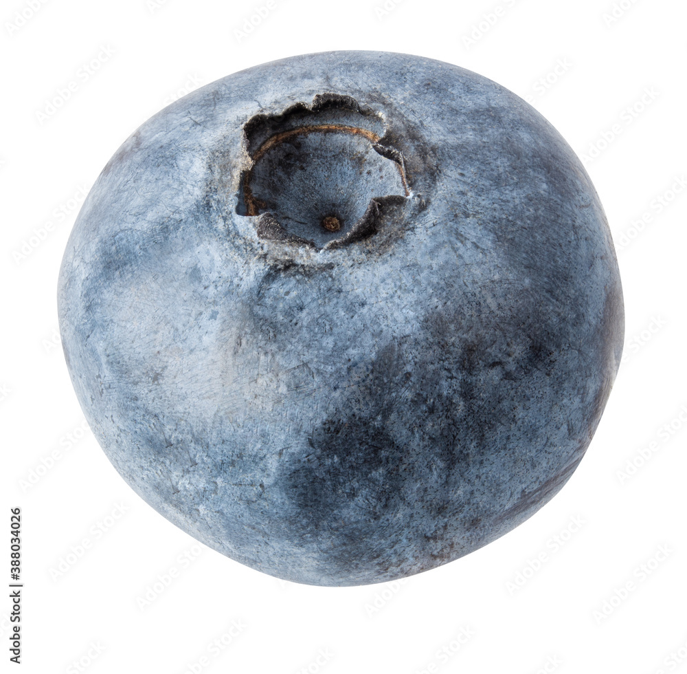 Blueberry isolated on white background with clipping path Blueberry isolated on white background with clipping path