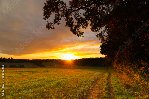 West Berkshire fields © Darren