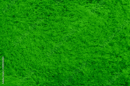 Abstract background with colored short nap. Smooth empty surface of the green. Blank for advertising textiles