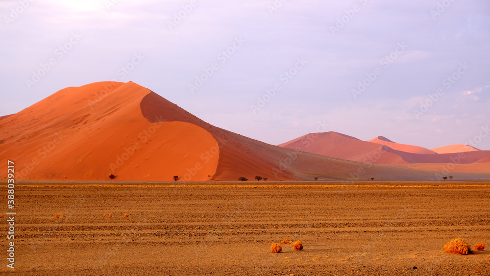 These vivid orange, reddish and pink sand dunes are the highest in the world. The highest measures nearly 400 meters high and occur at Sossusvlei in the Namib desert of Namibia.