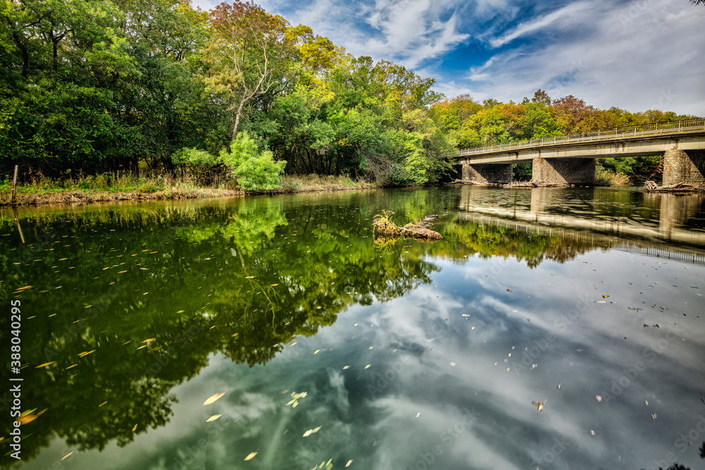Obraz premium bridge over the river in the forest
