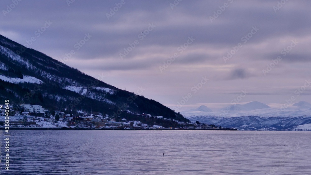 Winter view to the Steinfjord - Troms county, Norway