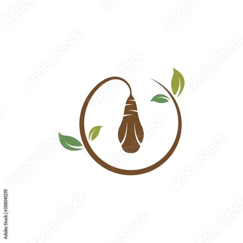 cocoon vector icon illustrtion design