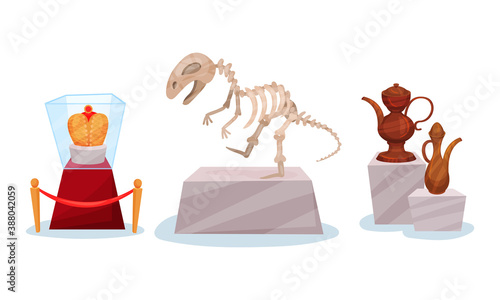 Museum Exhibit with Dinosaur Fossil and Ceramic Vessels Vector Set