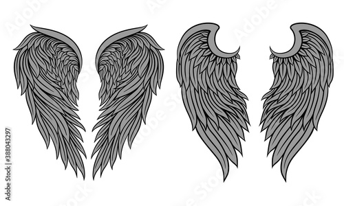 Heraldic Wings with Feathers Isolated on White Background Vector Set