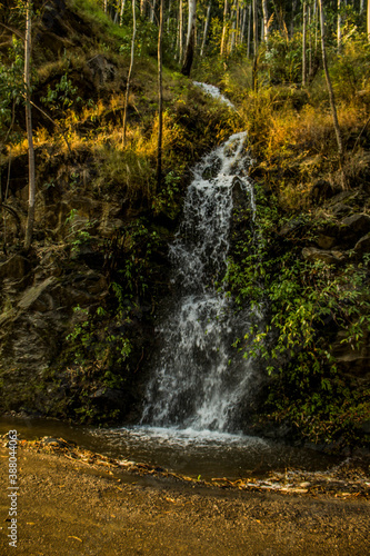 A roadside waterfall in Himachal