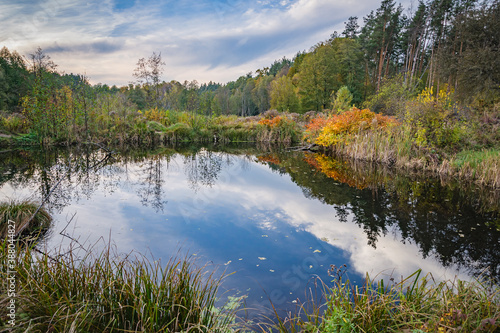 Autumn lake in the forest