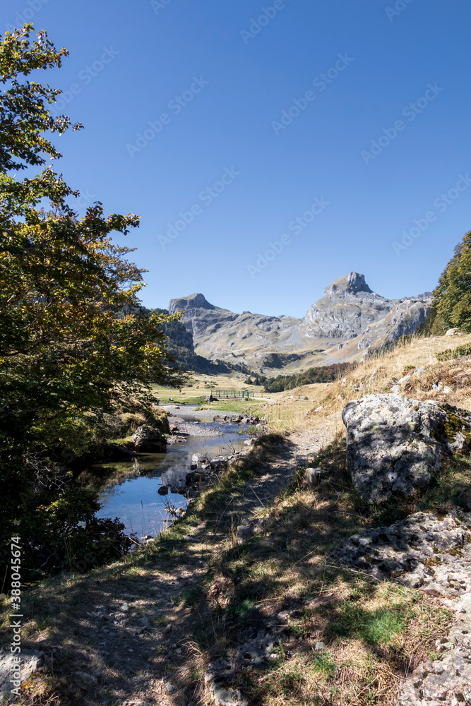 Pyrenees mountains with small river in Ossau valley, Pyrenees National Park, France