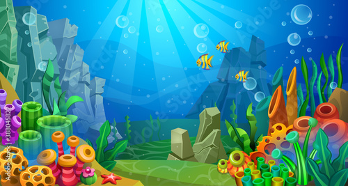 Underwater world of colorful algaes, coral, sponges, stones and fishes are on the seabed.