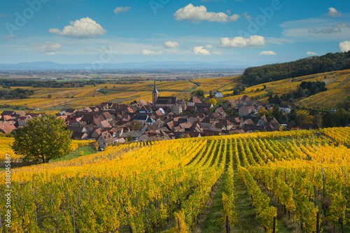 Weinberge oberhalb von Blienschwiller im Elsass im Herbst