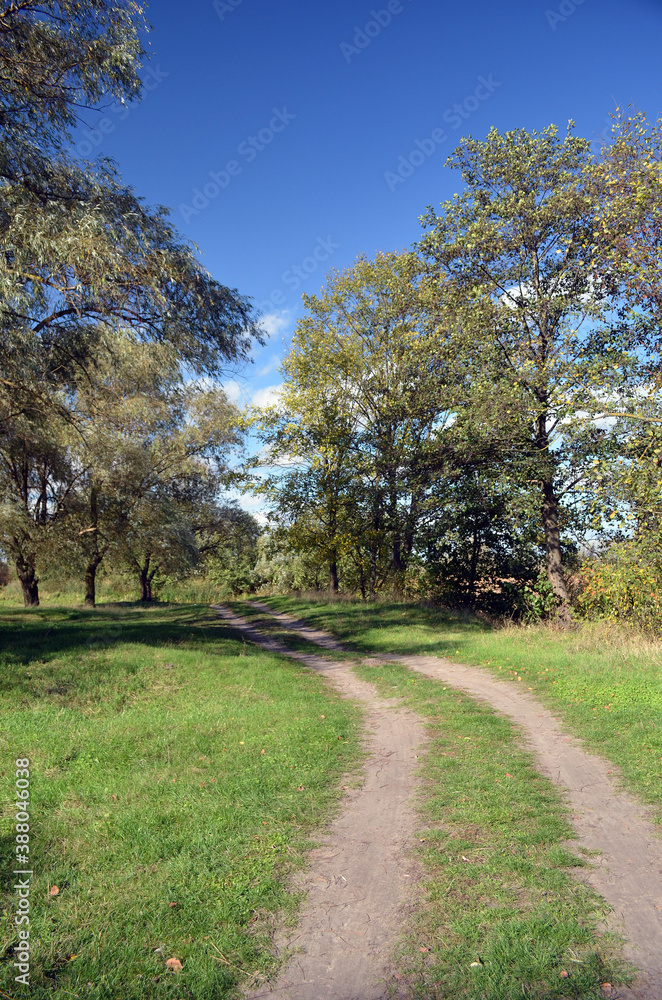 Natural landscape in Kiev Region at autumn Natural landscape in Kiev Region at autumn