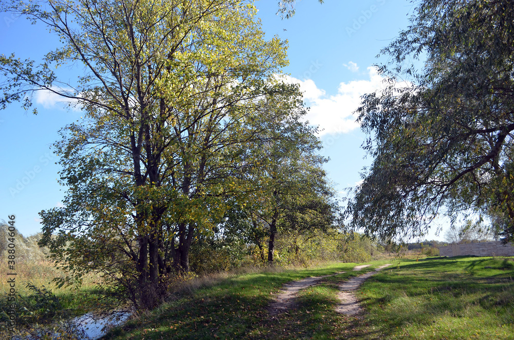Obraz premium Natural landscape in Kiev Region at autumn