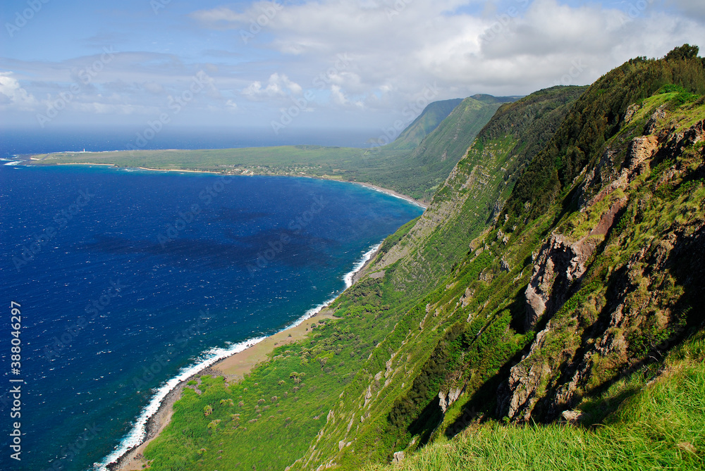 Sea cliffs of Kalaupapa Molokai Hawaii