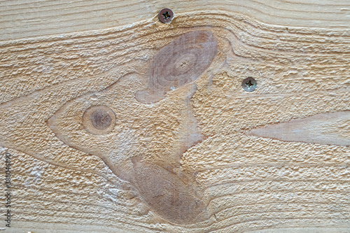 Close up wooden beam with two screws. Wooden texture