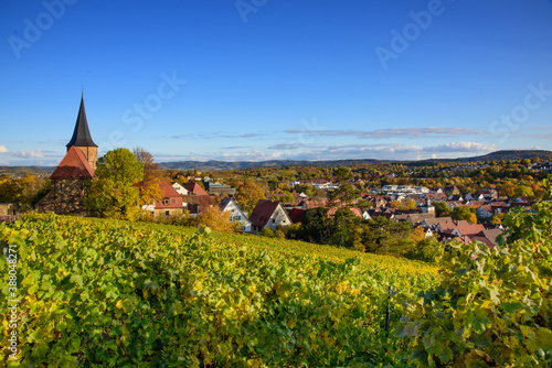 Weinsberg - Stadt der treuen Weiber! Idyllisch gelegen im Land Heilbronn, umgeben von Weinbergen. 