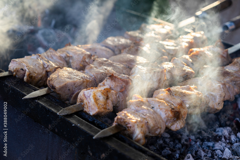 Shish kebab on skewers is fried on the grill on coals with smoke.