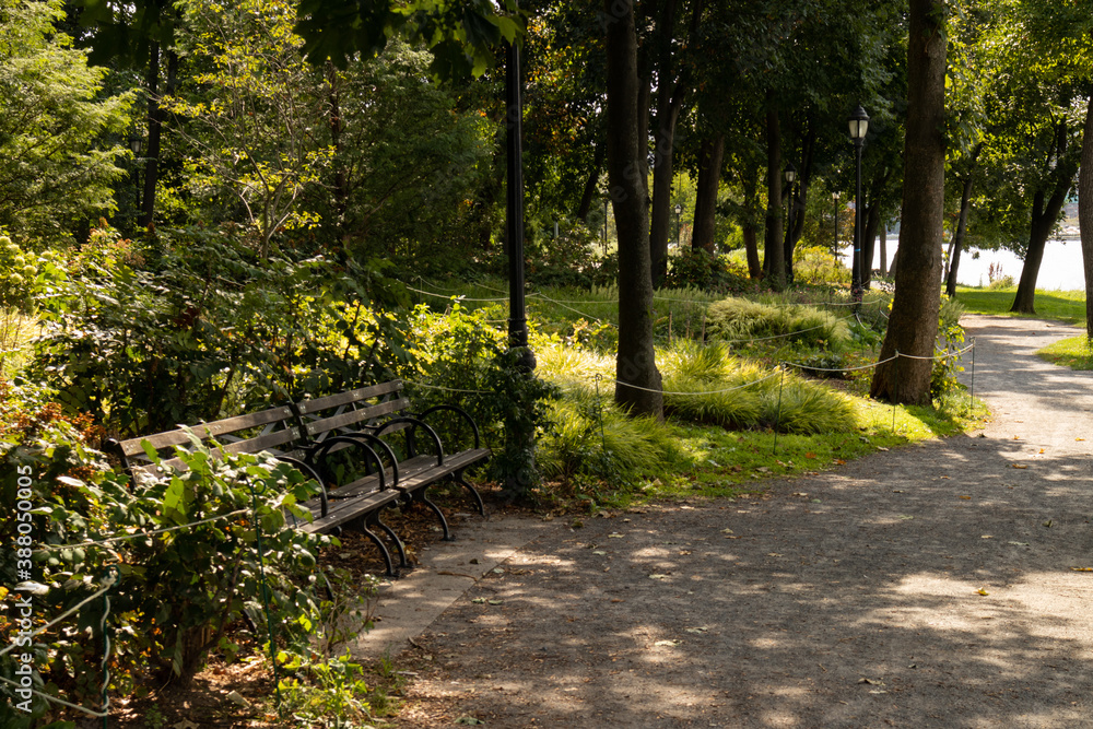 Beautiful Trail along the Riverfront of Randalls and Wards Islands in New York City during Summer with Green Plants and a Bench
