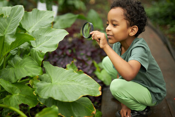 little african american kid boy look at plant using magnifier, want to know about nature everything, learn gardening and plants, flowers