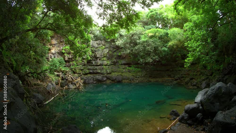 Natural Pool in Mauritius, Shaded by Wild Vegetation Natural Pool in Mauritius, Shaded by Wild Vegetation