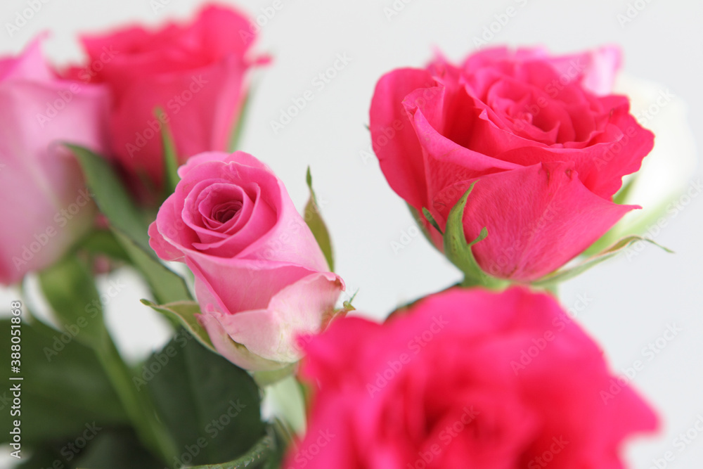 バラの花束 バラの花束