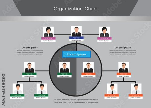Organization Chart Infographics with People Icon and Abstract Line, Business Structure, Hierarchy of employees, org  Vector Illustration.