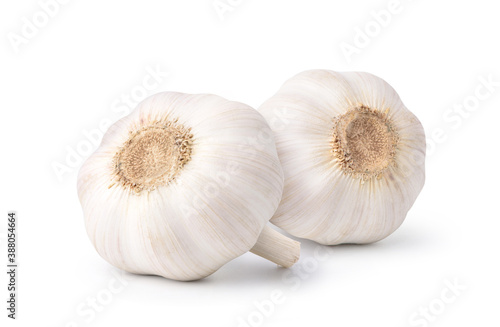 Two Garlic Bulbs isolated on white background. Clipping path.