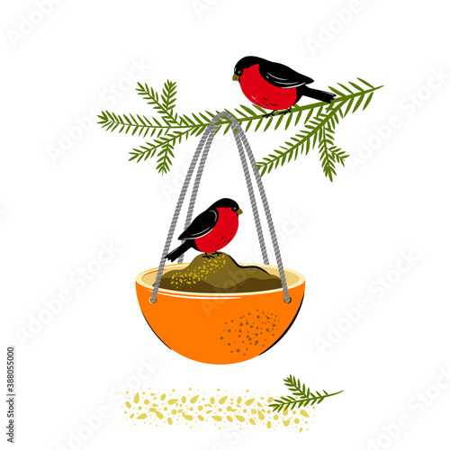 Bird feeder made from orange peel. Winter crafts with your own hands with children. Vector isolated on a white background.
