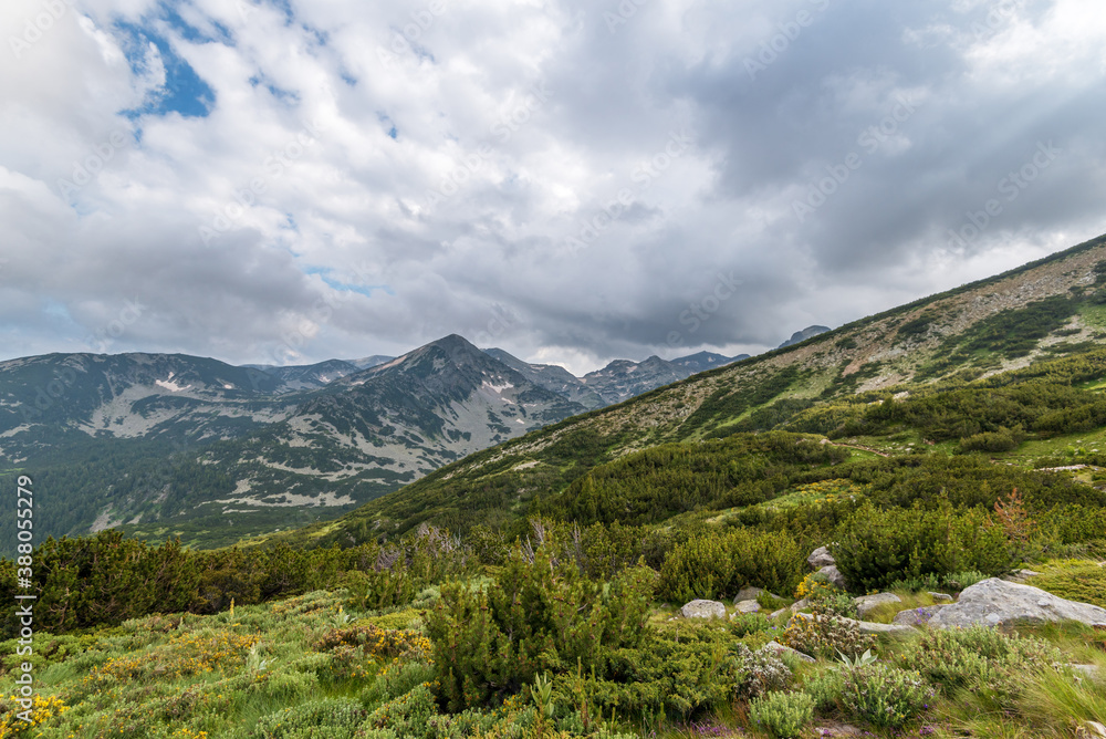Obraz premium Amazing Landscape of Pirin Mountain Bulgaria.