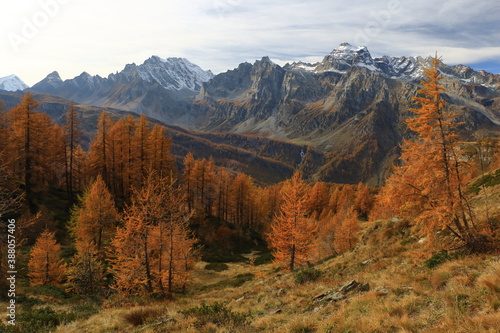 Foliage on the mountains, Alps, Europe with vibrant colors
