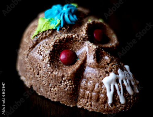 Obraz na płótnie calavera de amaranto y chocolate