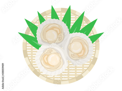 ザルにのせたホタテ貝のイラスト