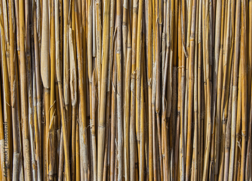 Texture of the hut wall made of reeds Texture of the hut wall made of reeds