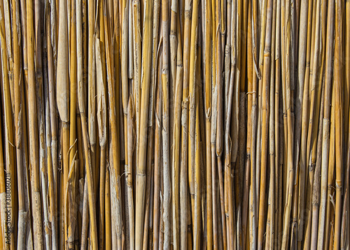 Texture of the hut wall made of reeds