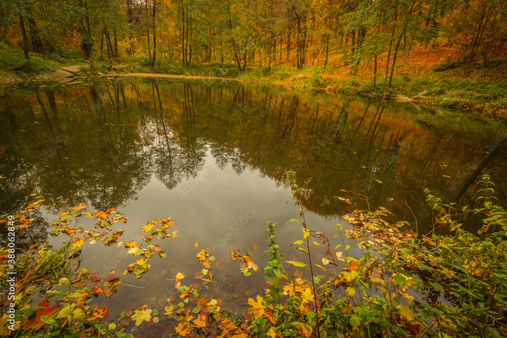 forest lake in warm beautiful autumn. Russian Federation forest lake in warm beautiful autumn. Russian Federation
