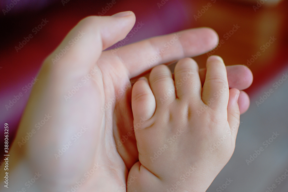 Newborn baby hand in mother's palm. Newborn baby hand in mother's palm.