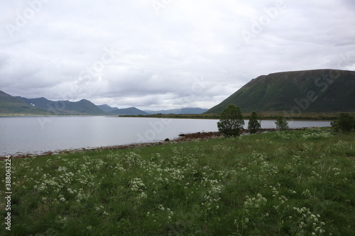 Norway - June 23 2019: in the countryside on Vesteralen, Norway