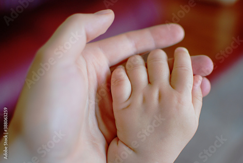 Newborn baby hand in mother's palm. © Iryna Chubarova