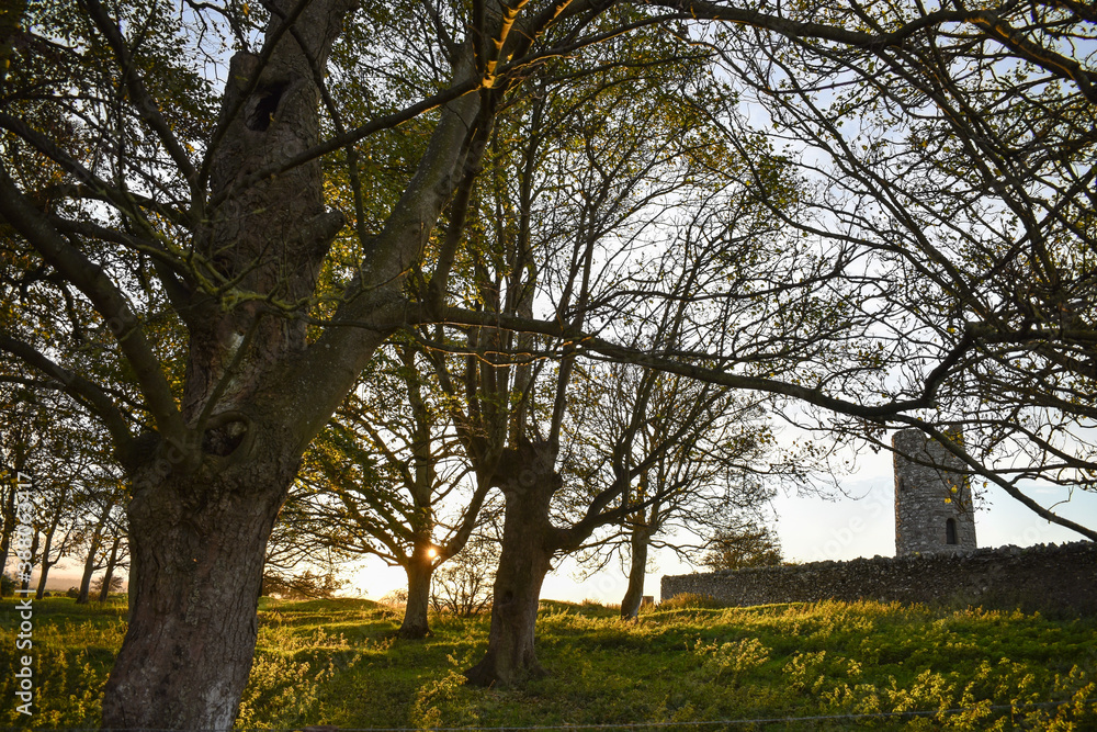 Ancient Irish Monastic Site and Cathedral Ruins Ancient Irish Monastic Site and Cathedral Ruins