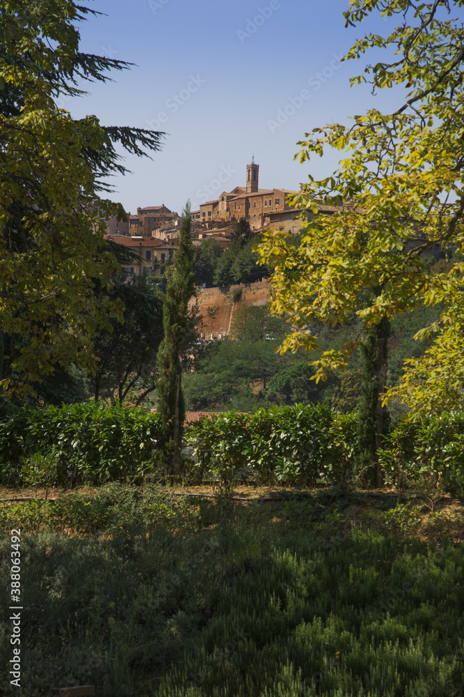 Fototapeta premium montepulciano 