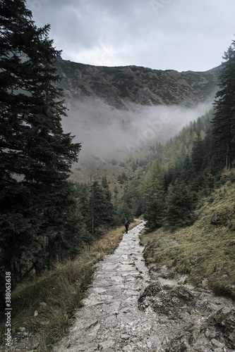 Stone path in the woods among high foggy mountains and hiker walking far away through the forest. Dark, moody vertical landscape with desaturated colors.