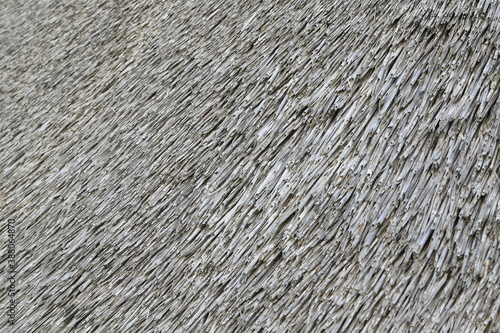 Thatched roof, Isle of Amrum, North Frisian islands, Schleswig-Holstein, Germany