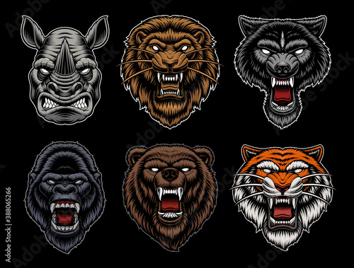 A set of different vector animal mascots such as a wolf, a tiger, a lion, and others. These illustrations can be used as logotypes for sports teams and for many other uses.