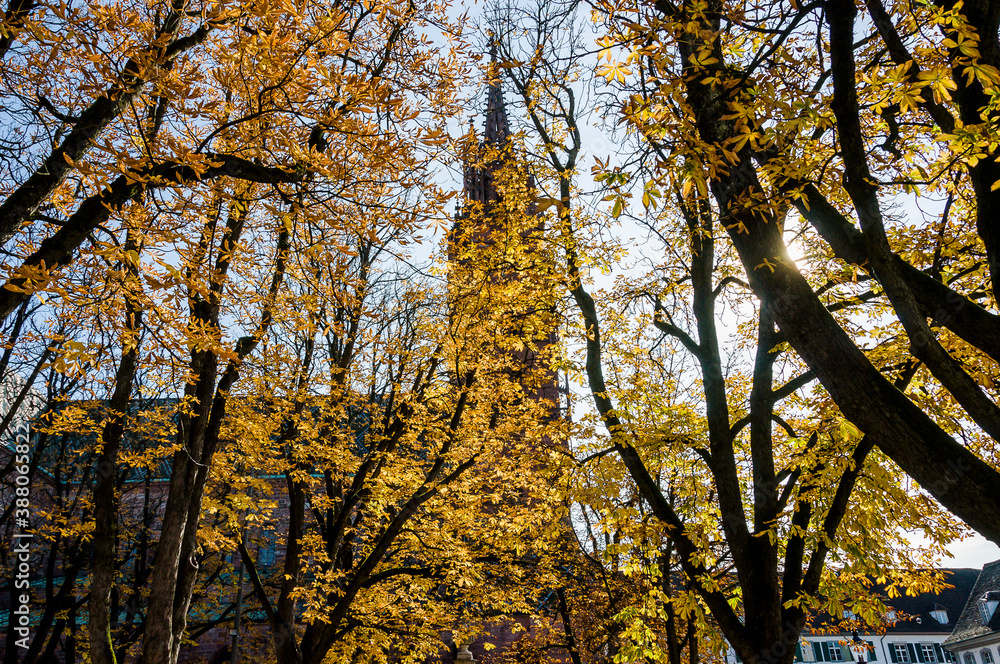 Basel, Münster, Münsterplatz, Pfalz, Stadt, Altstadt, Kirche,  Grossbasel, Kirchturm, Kreuzgang, Herbst, Herbstlaub, Herbstsonne, Rhein, Basel-Stadt, Schweiz