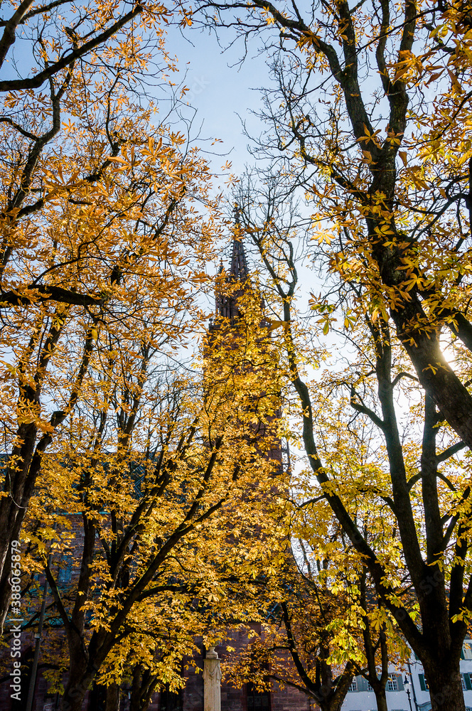 Basel, Münster, Münsterplatz, Pfalz, Stadt, Altstadt, Kirche, Grossbasel, Kirchturm, Kreuzgang, Herbst, Rhein, Basel-Stadt, Schweiz Basel, Münster, Münsterplatz, Pfalz, Stadt, Altstadt, Kirche, Grossbasel, Kirchturm, Kreuzgang, Herbst, Rhein, Basel-Stadt, Schweiz