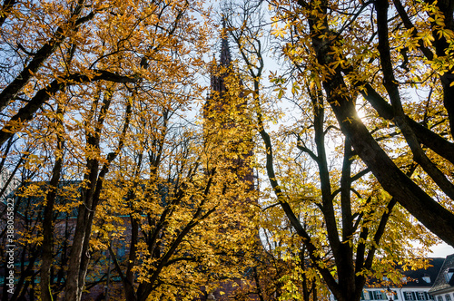 Basel, Münster, Münsterplatz, Pfalz, Stadt, Altstadt, Kirche, Grossbasel, Kirchturm, Kreuzgang, Herbst, Herbstlaub, Herbstsonne, Rhein, Basel-Stadt, Schweiz