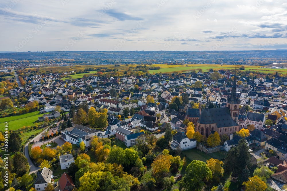 View from above on Kiedrich / Germany and its cathedral in the midst of autumnal colored vineyards in the Rheingau
