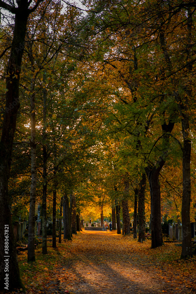 Sonnenuntergang im Herbst auf einem Friedhof